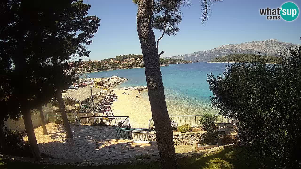 Camera en vivo Lumbarda – Playa Prvi Žal – Korčula
