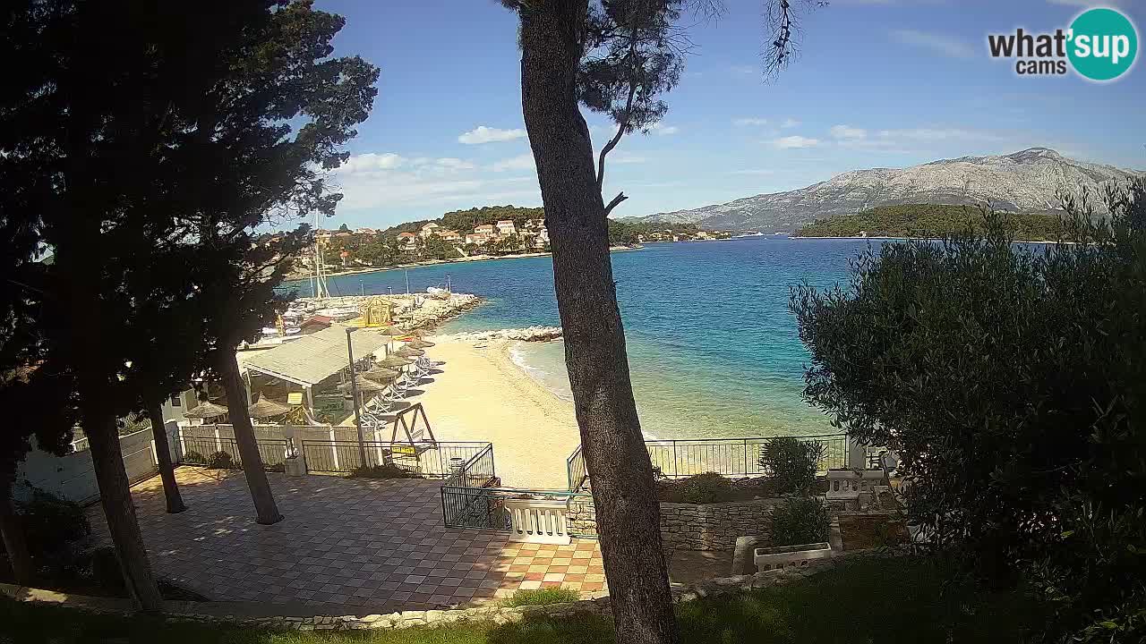 Camera en vivo Lumbarda – Playa Prvi Žal – Korčula
