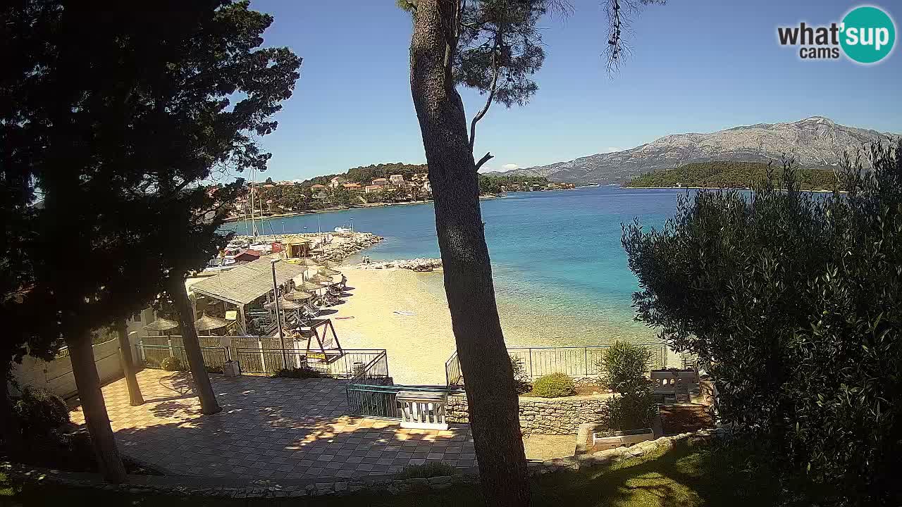 Camera en vivo Lumbarda – Playa Prvi Žal – Korčula
