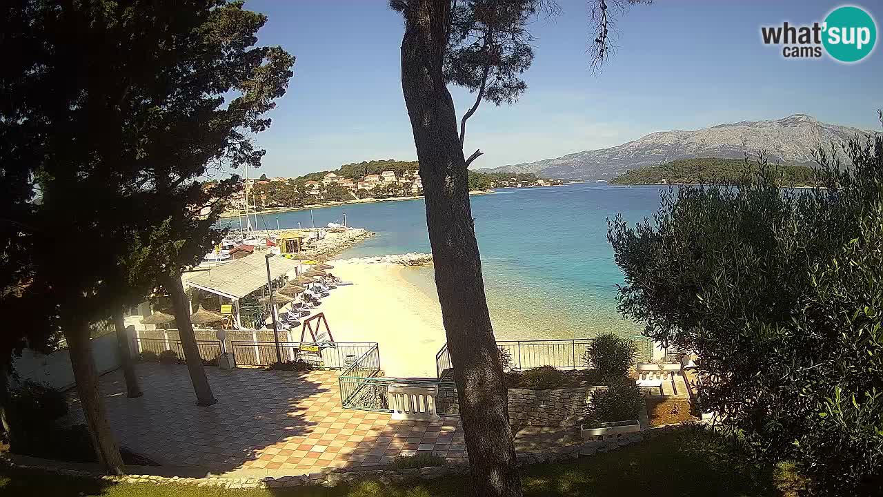 Camera en vivo Lumbarda – Playa Prvi Žal – Korčula