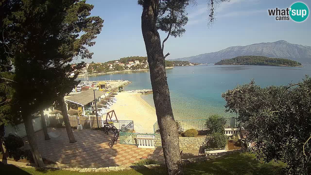 Webcam live Lumbarda – Plage Prvi Žal – Korčula