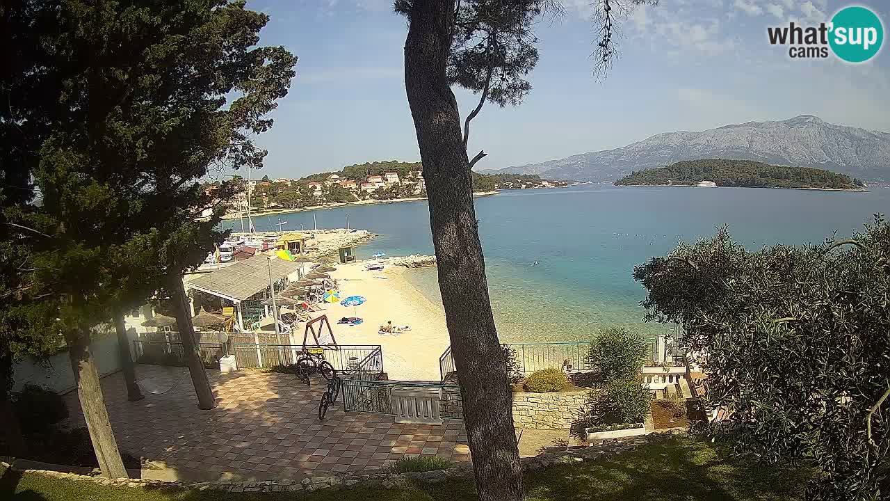 Camera en vivo Lumbarda – Playa Prvi Žal – Korčula