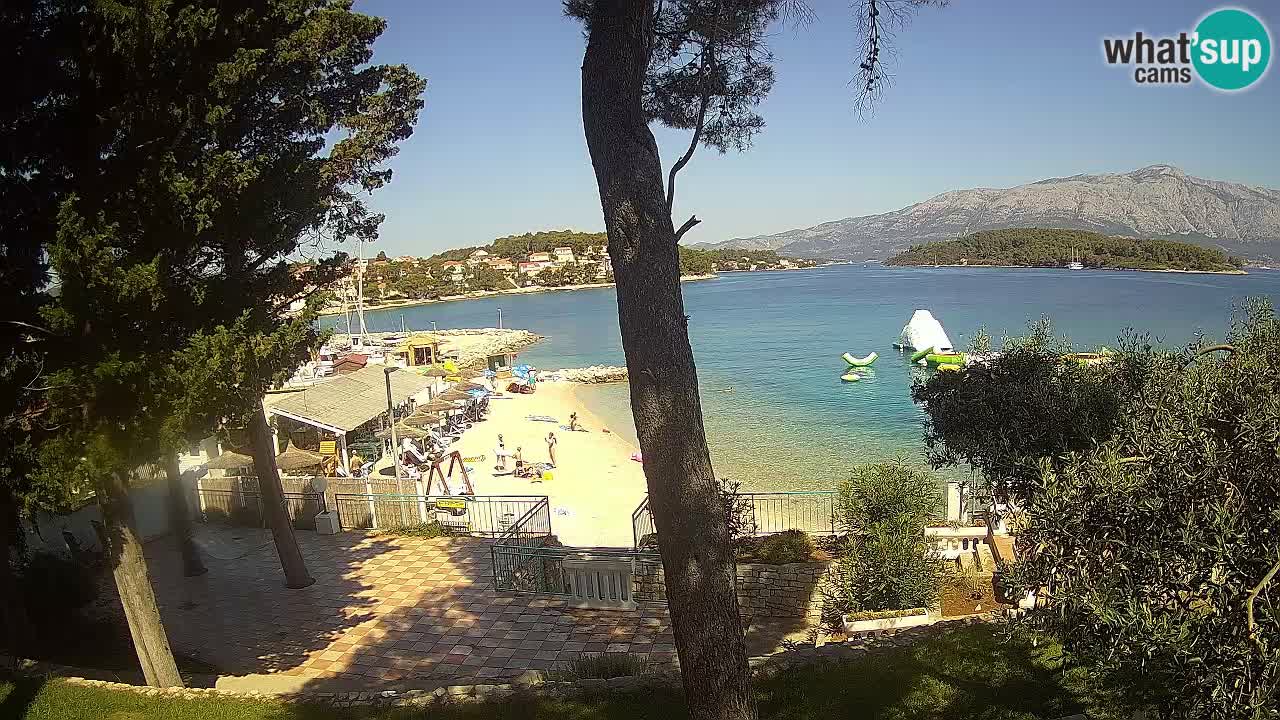 Camera en vivo Lumbarda – Playa Prvi Žal – Korčula