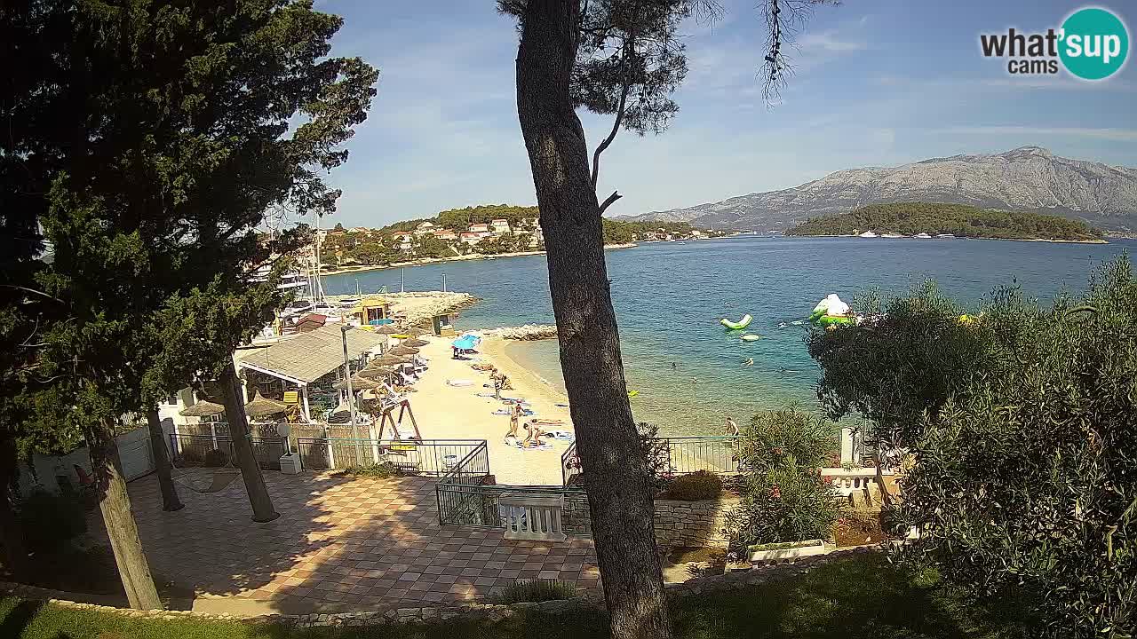 Camera en vivo Lumbarda – Playa Prvi Žal – Korčula