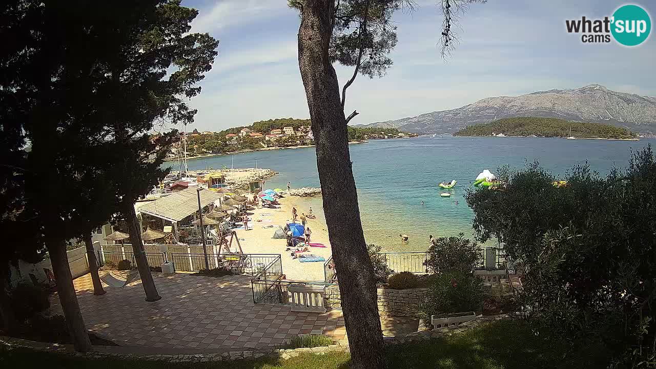 Camera en vivo Lumbarda – Playa Prvi Žal – Korčula