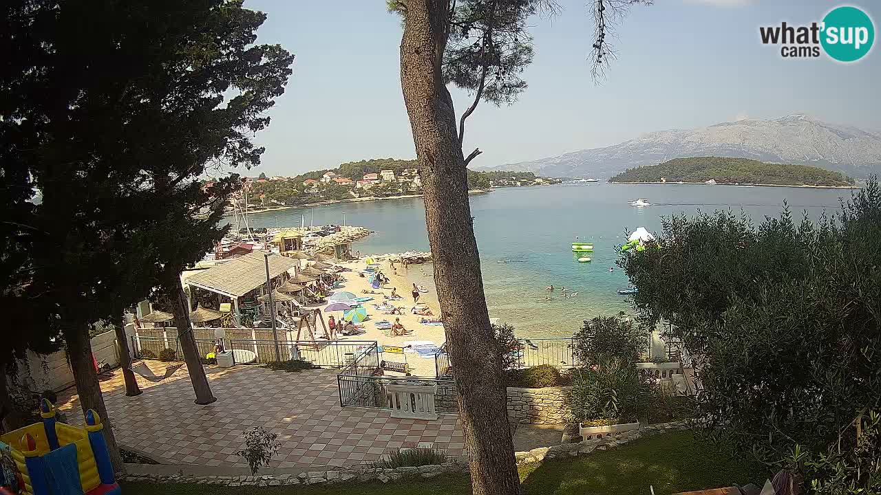 Camera en vivo Lumbarda – Playa Prvi Žal – Korčula