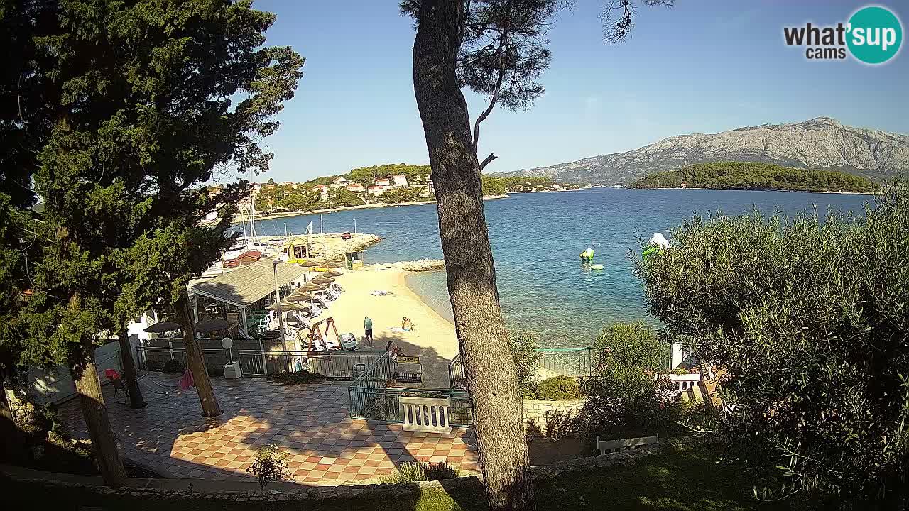 Camera en vivo Lumbarda – Playa Prvi Žal – Korčula