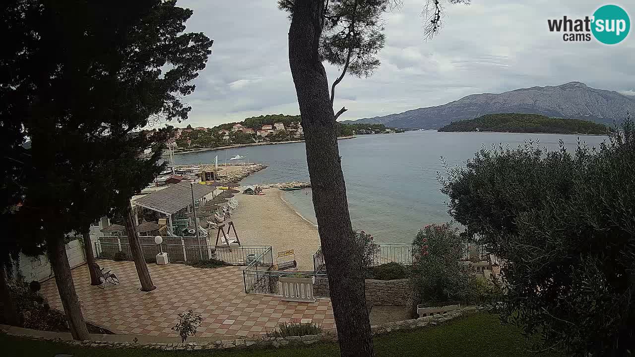 Camera en vivo Lumbarda – Playa Prvi Žal – Korčula