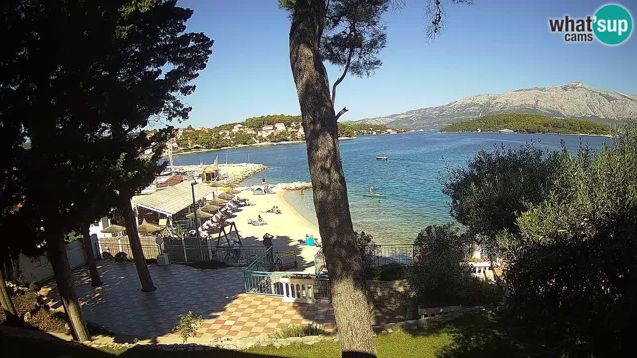 Camera en vivo Lumbarda – Playa Prvi Žal – Korčula