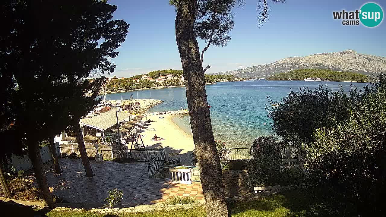 Camera en vivo Lumbarda – Playa Prvi Žal – Korčula