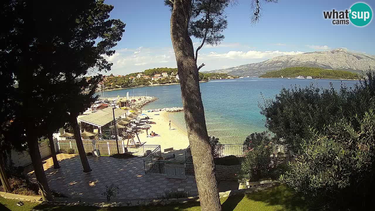 Camera en vivo Lumbarda – Playa Prvi Žal – Korčula