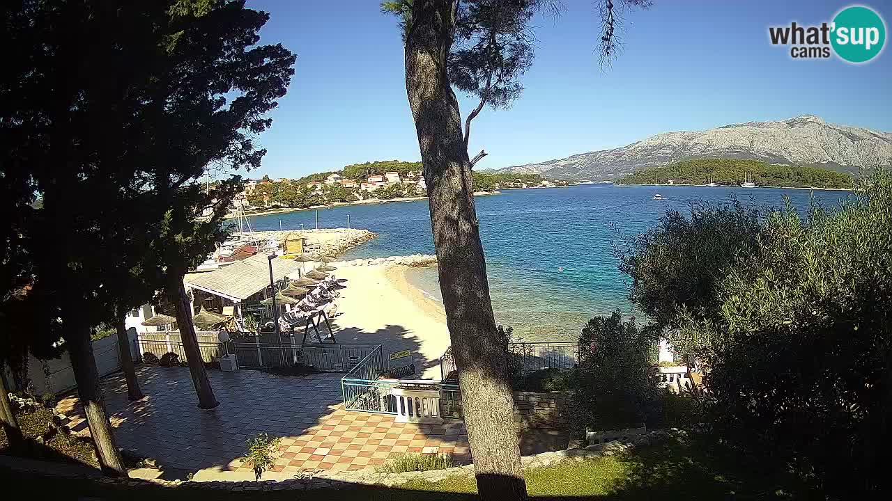 Camera en vivo Lumbarda – Playa Prvi Žal – Korčula