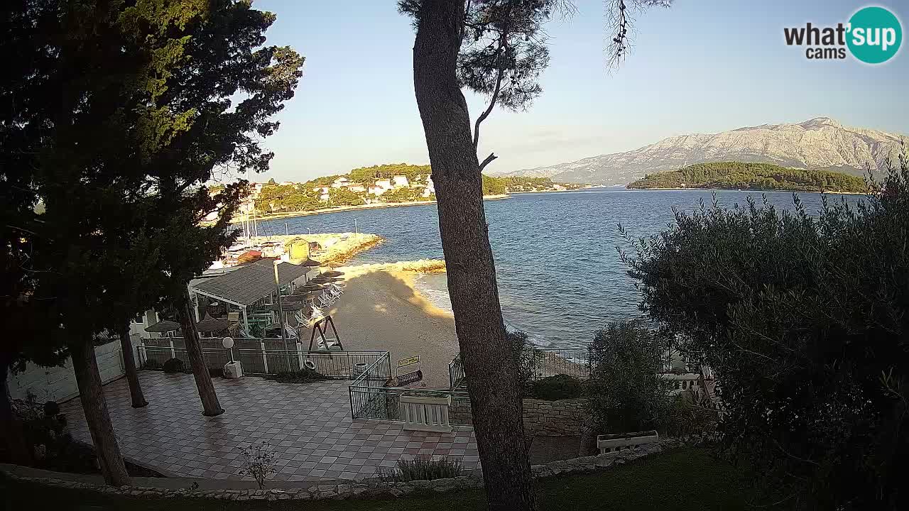 Camera en vivo Lumbarda – Playa Prvi Žal – Korčula