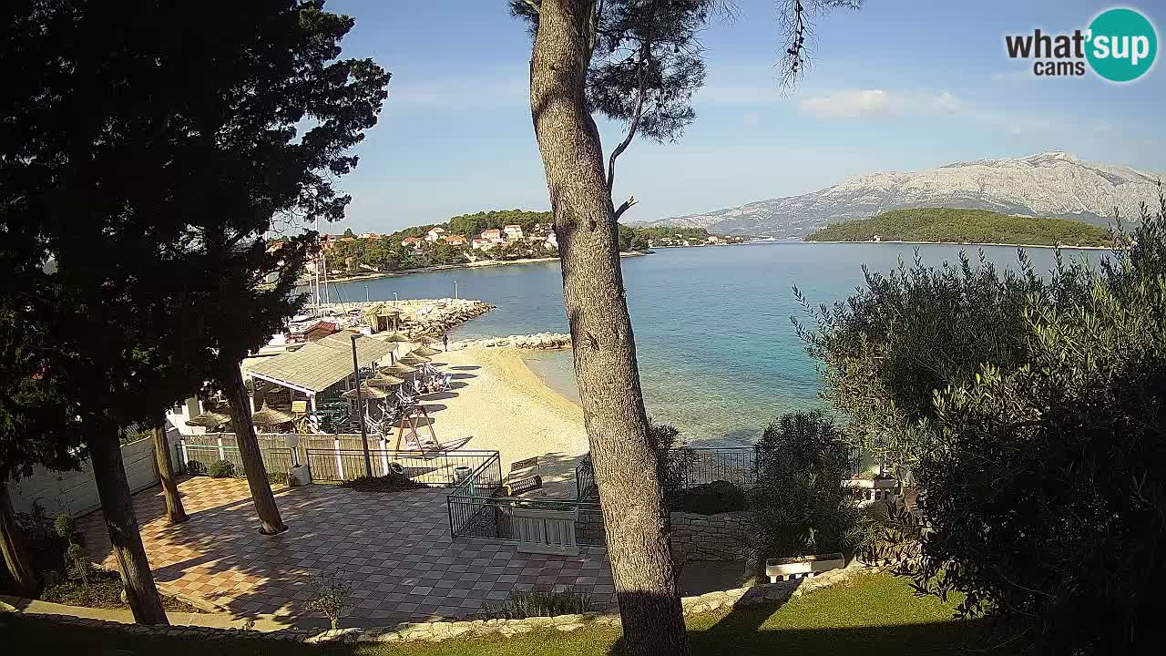 Camera en vivo Lumbarda – Playa Prvi Žal – Korčula