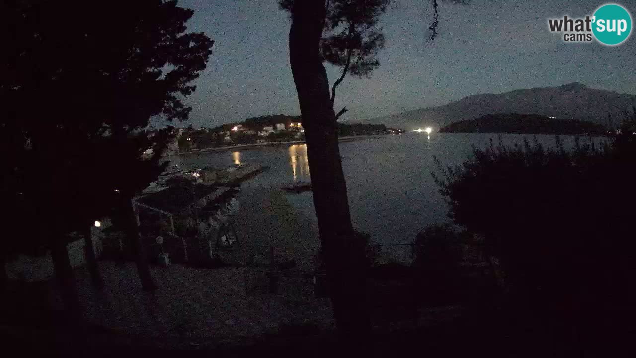 Camera en vivo Lumbarda – Playa Prvi Žal – Korčula