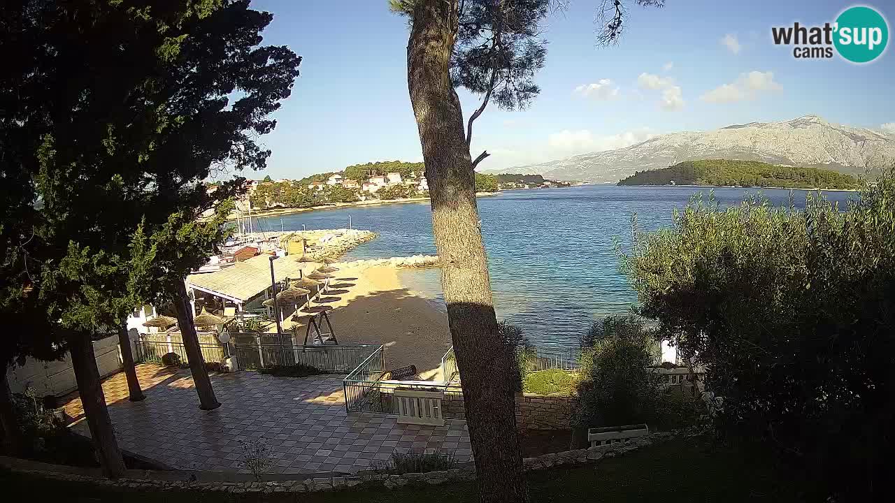 Camera en vivo Lumbarda – Playa Prvi Žal – Korčula
