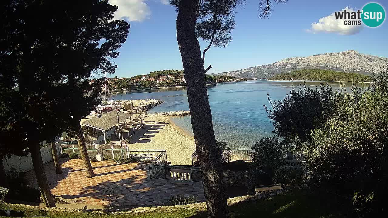 Camera en vivo Lumbarda – Playa Prvi Žal – Korčula