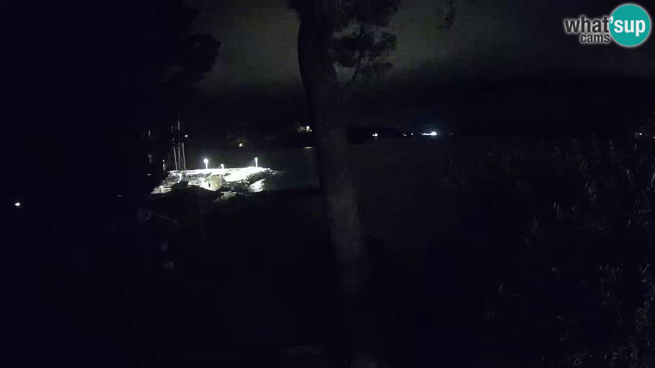 Camera en vivo Lumbarda – Playa Prvi Žal – Korčula