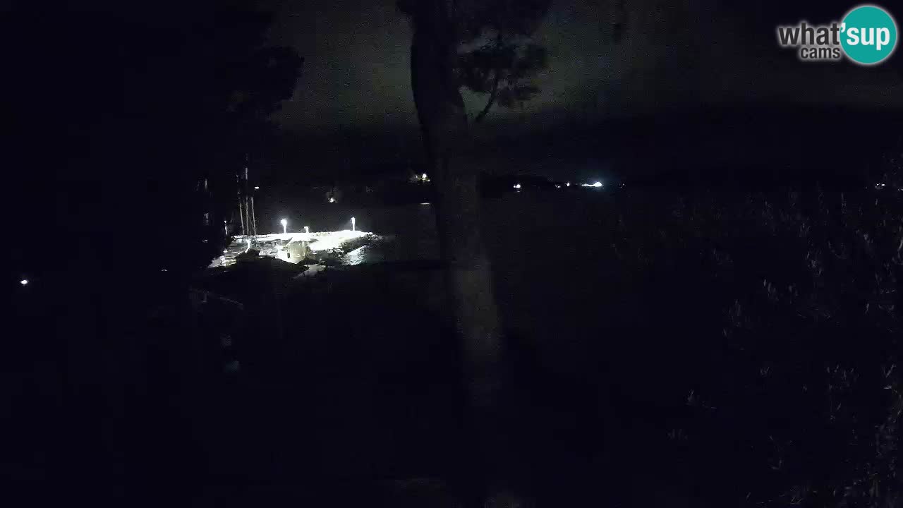 Camera en vivo Lumbarda – Playa Prvi Žal – Korčula