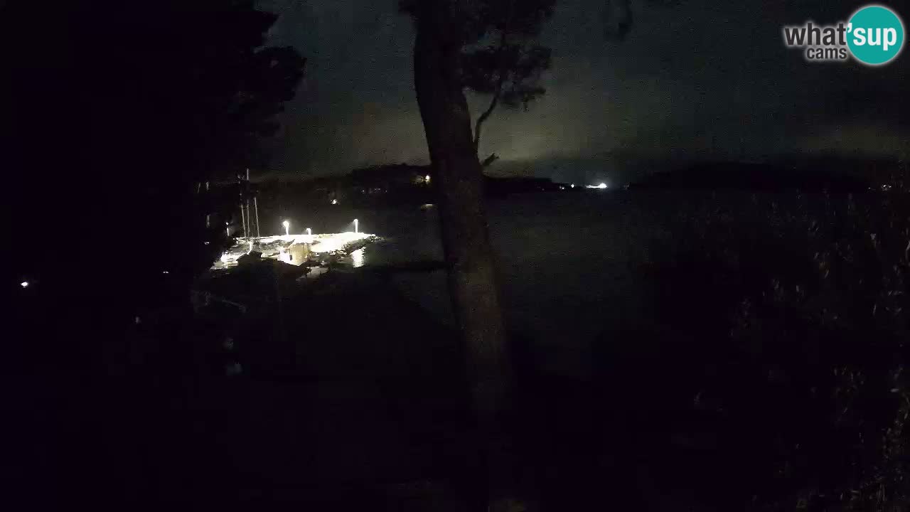 Camera en vivo Lumbarda – Playa Prvi Žal – Korčula