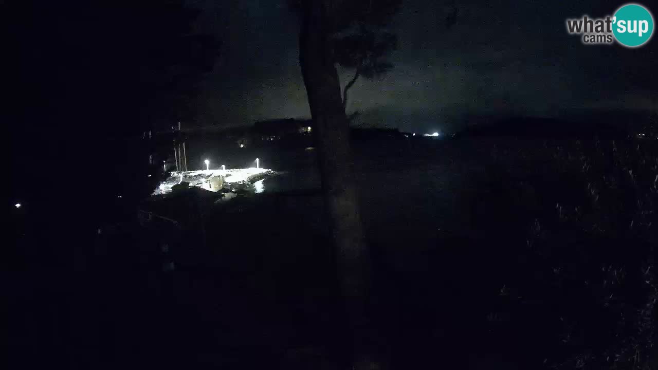 Camera en vivo Lumbarda – Playa Prvi Žal – Korčula