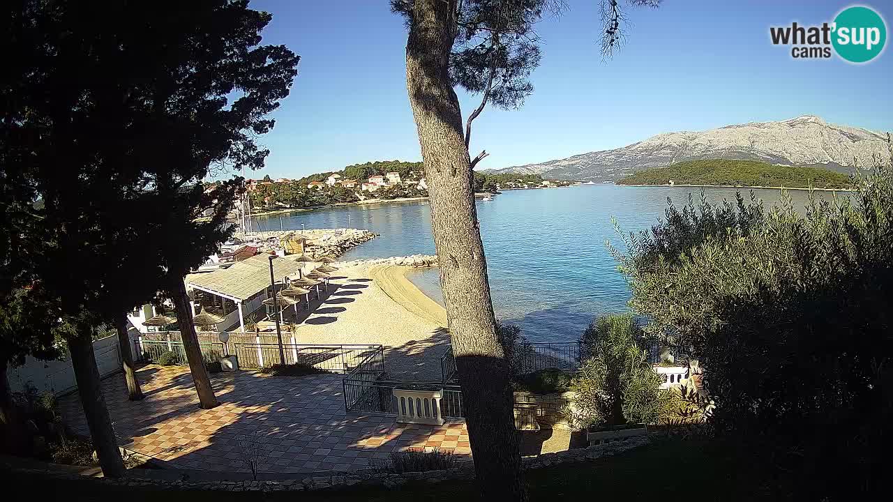 Camera en vivo Lumbarda – Playa Prvi Žal – Korčula