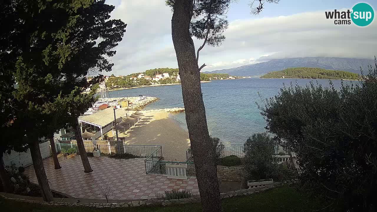 Camera en vivo Lumbarda – Playa Prvi Žal – Korčula