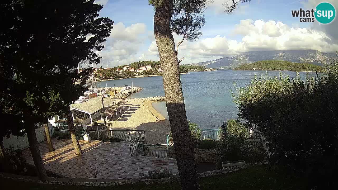 Camera en vivo Lumbarda – Playa Prvi Žal – Korčula
