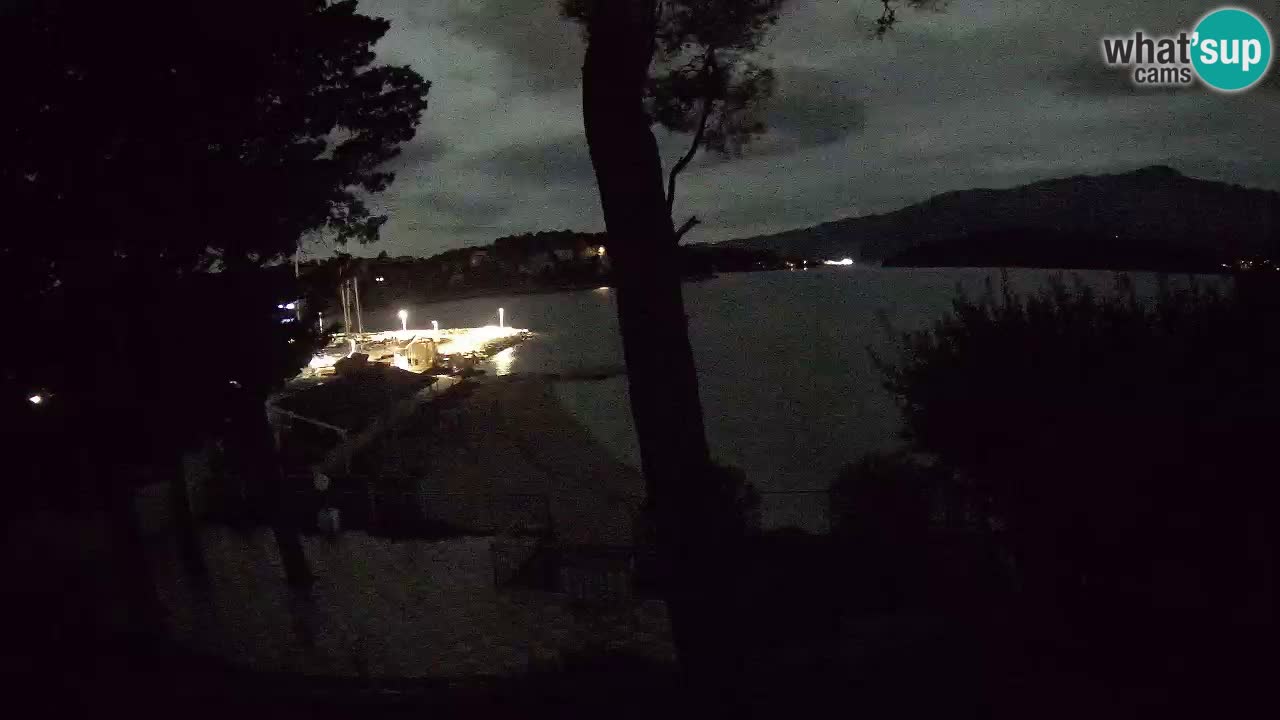 Camera en vivo Lumbarda – Playa Prvi Žal – Korčula