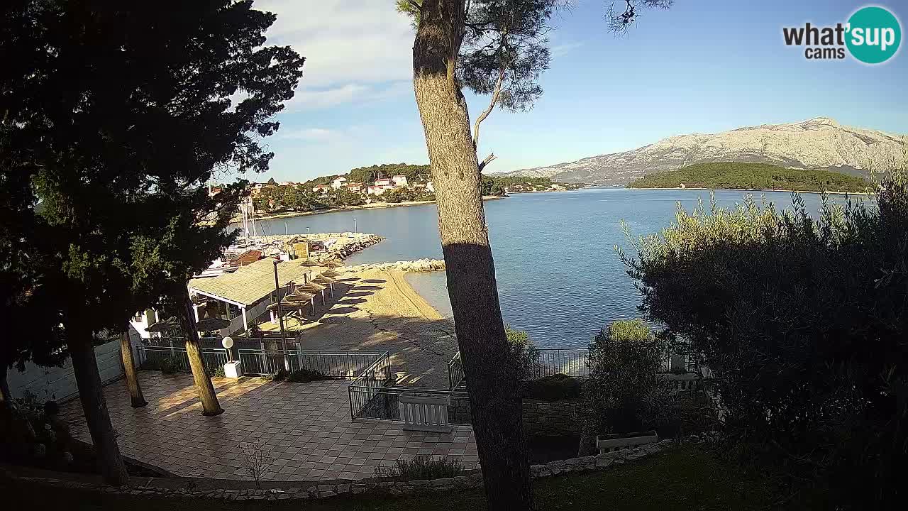 Camera en vivo Lumbarda – Playa Prvi Žal – Korčula