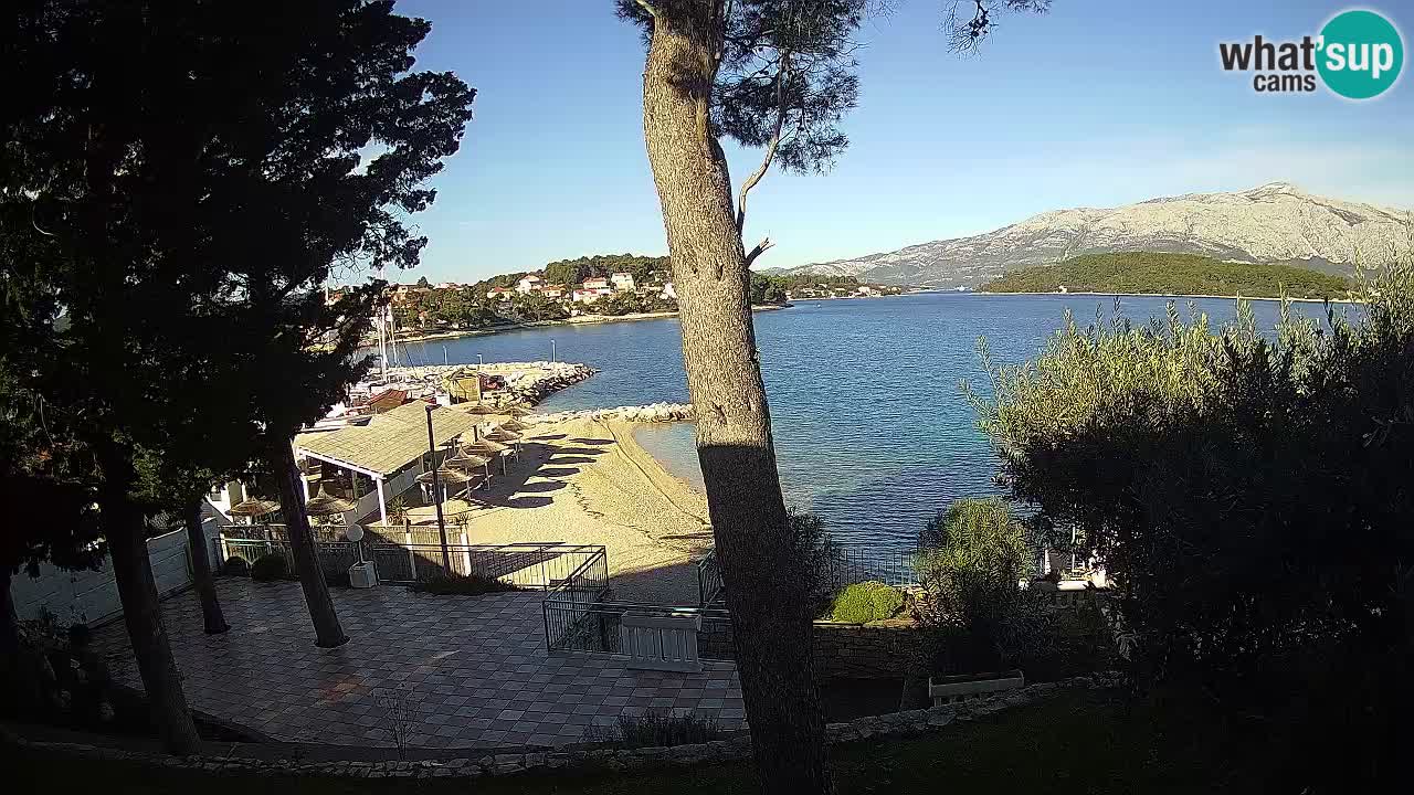 Camera en vivo Lumbarda – Playa Prvi Žal – Korčula