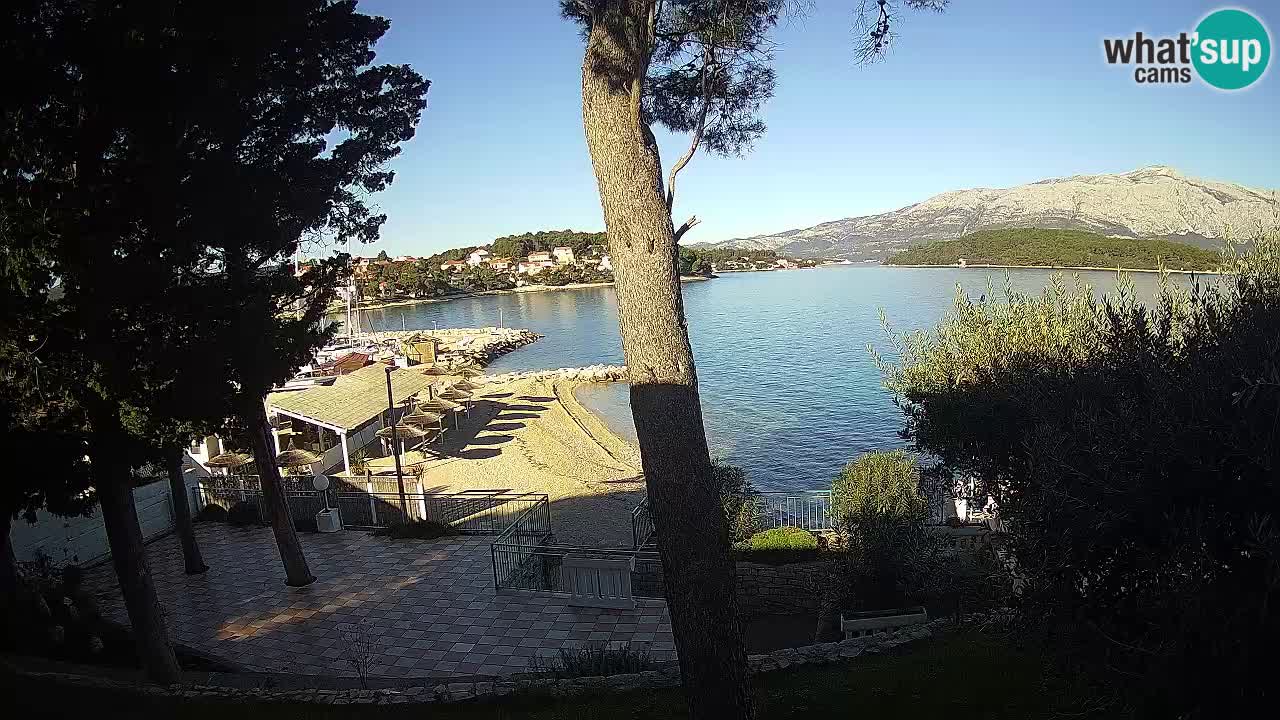 Camera en vivo Lumbarda – Playa Prvi Žal – Korčula