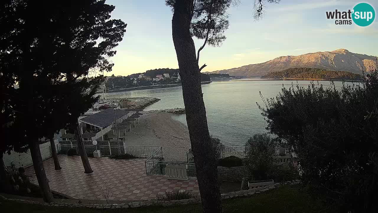 Camera en vivo Lumbarda – Playa Prvi Žal – Korčula