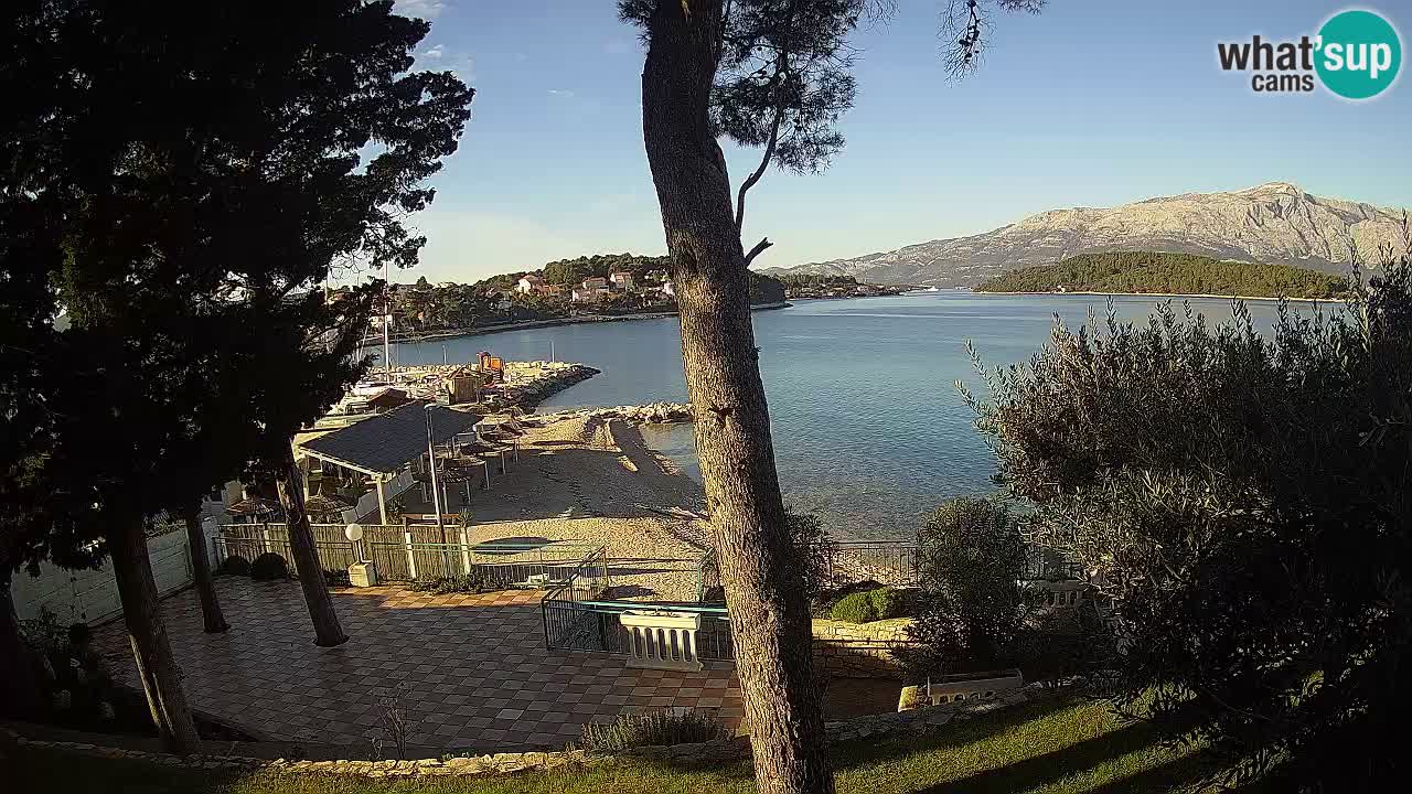 Camera en vivo Lumbarda – Playa Prvi Žal – Korčula