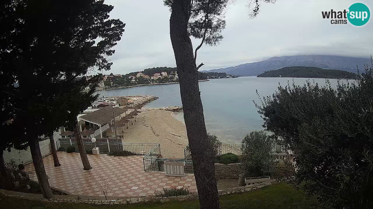 Camera en vivo Lumbarda – Playa Prvi Žal – Korčula