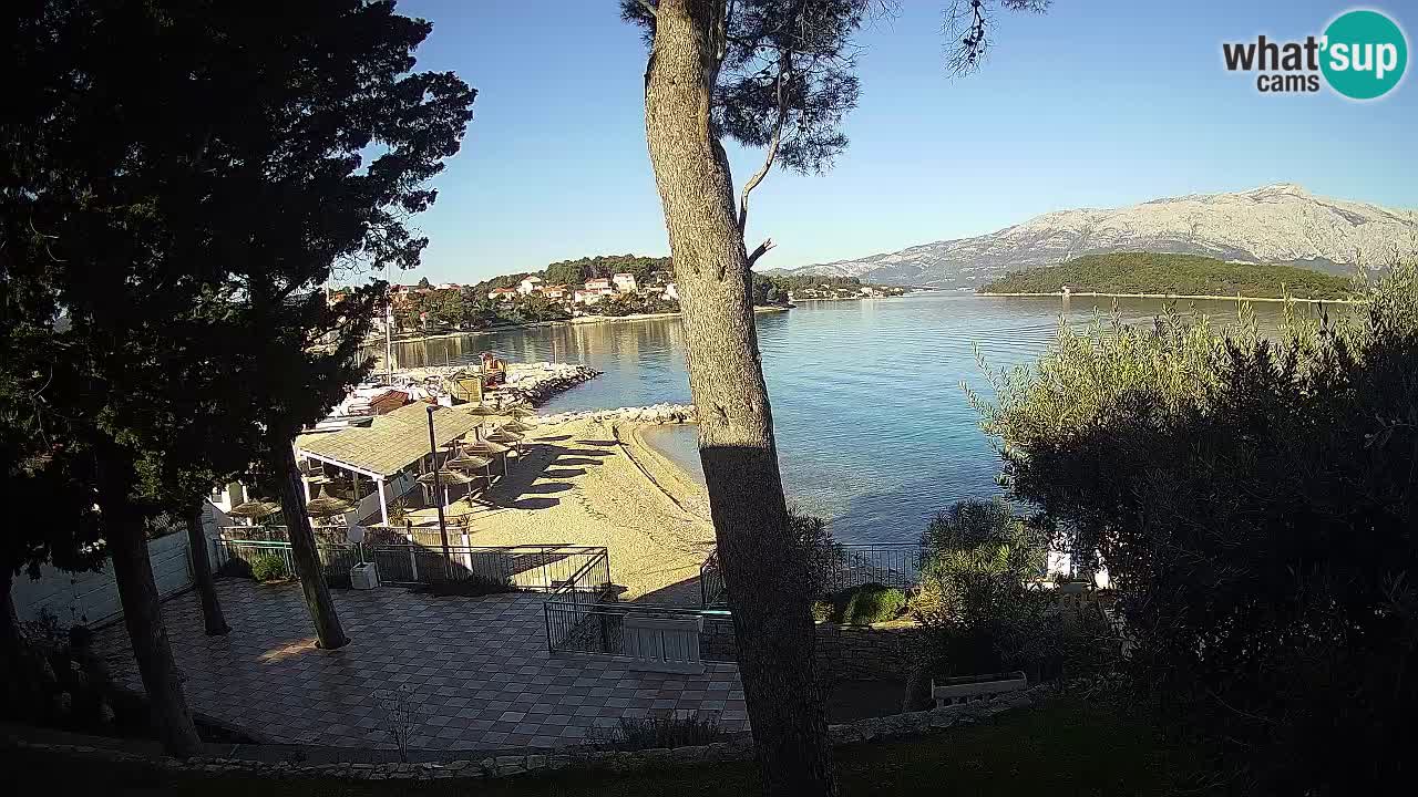 Camera en vivo Lumbarda – Playa Prvi Žal – Korčula