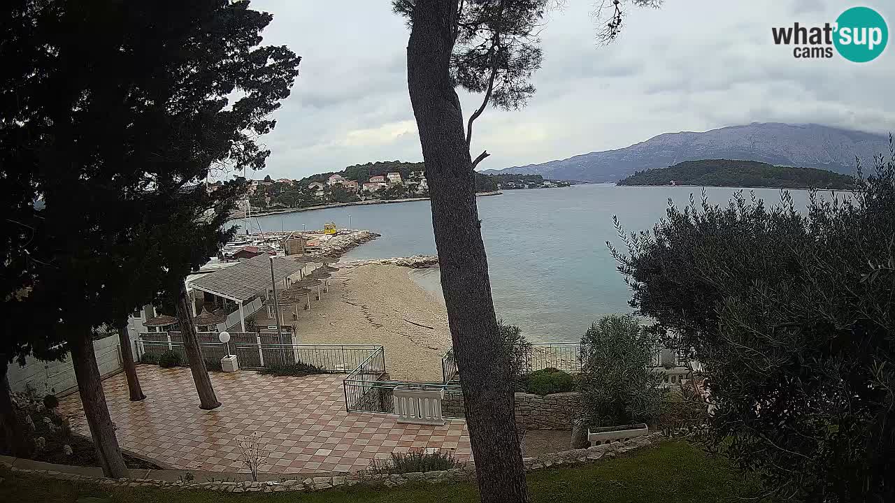Camera en vivo Lumbarda – Playa Prvi Žal – Korčula