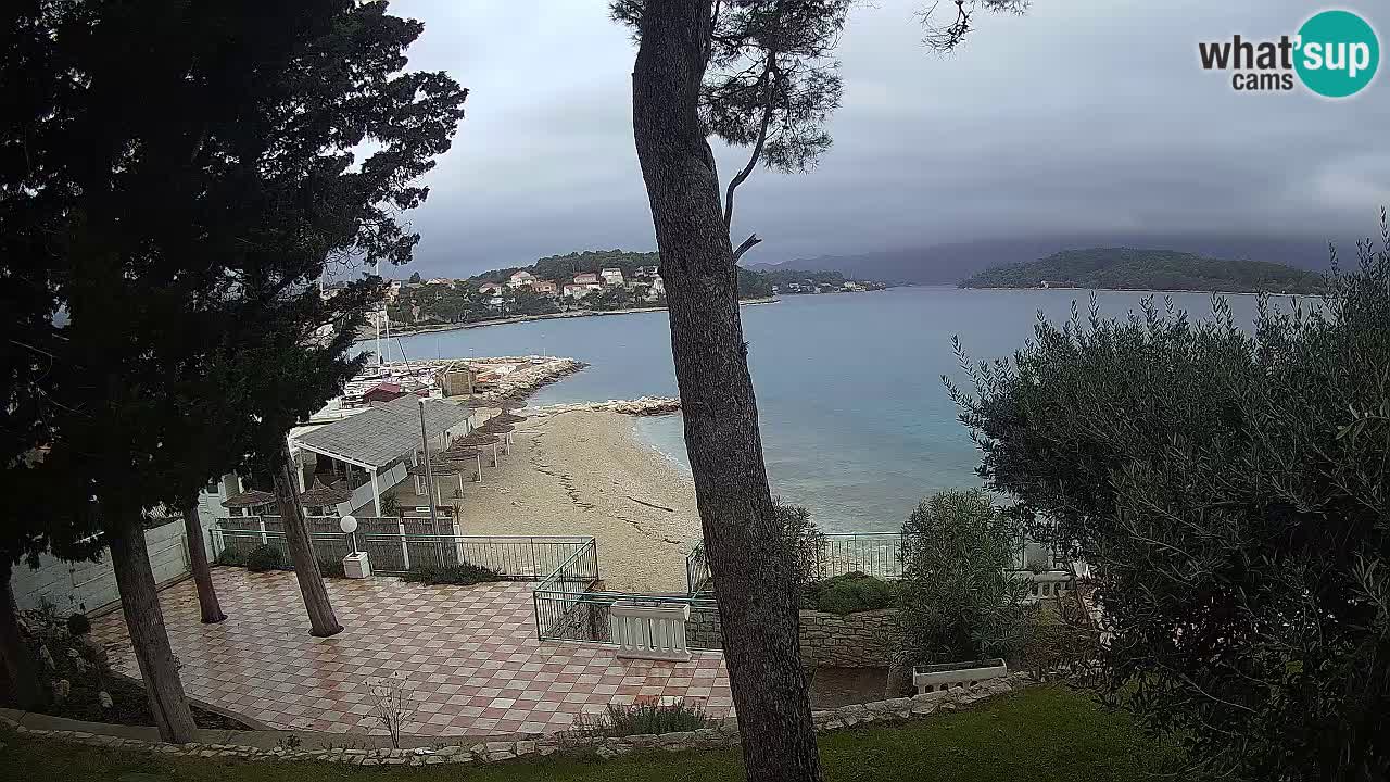 Camera en vivo Lumbarda – Playa Prvi Žal – Korčula
