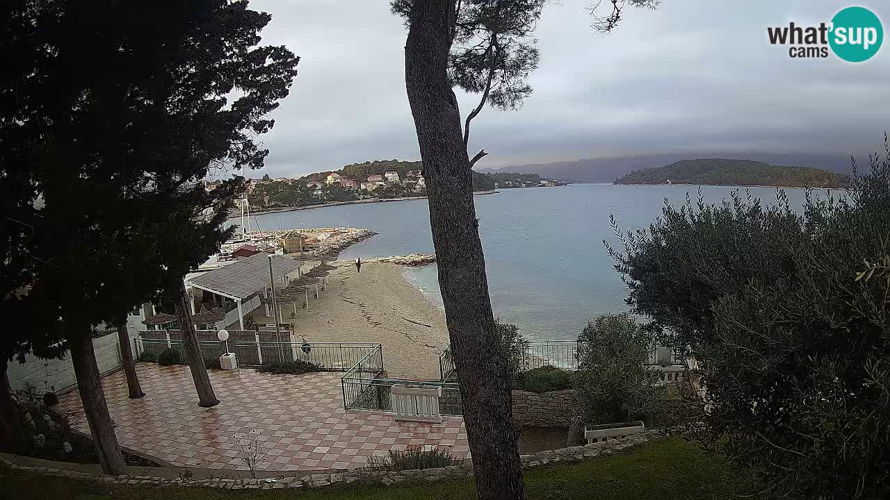 Camera en vivo Lumbarda – Playa Prvi Žal – Korčula