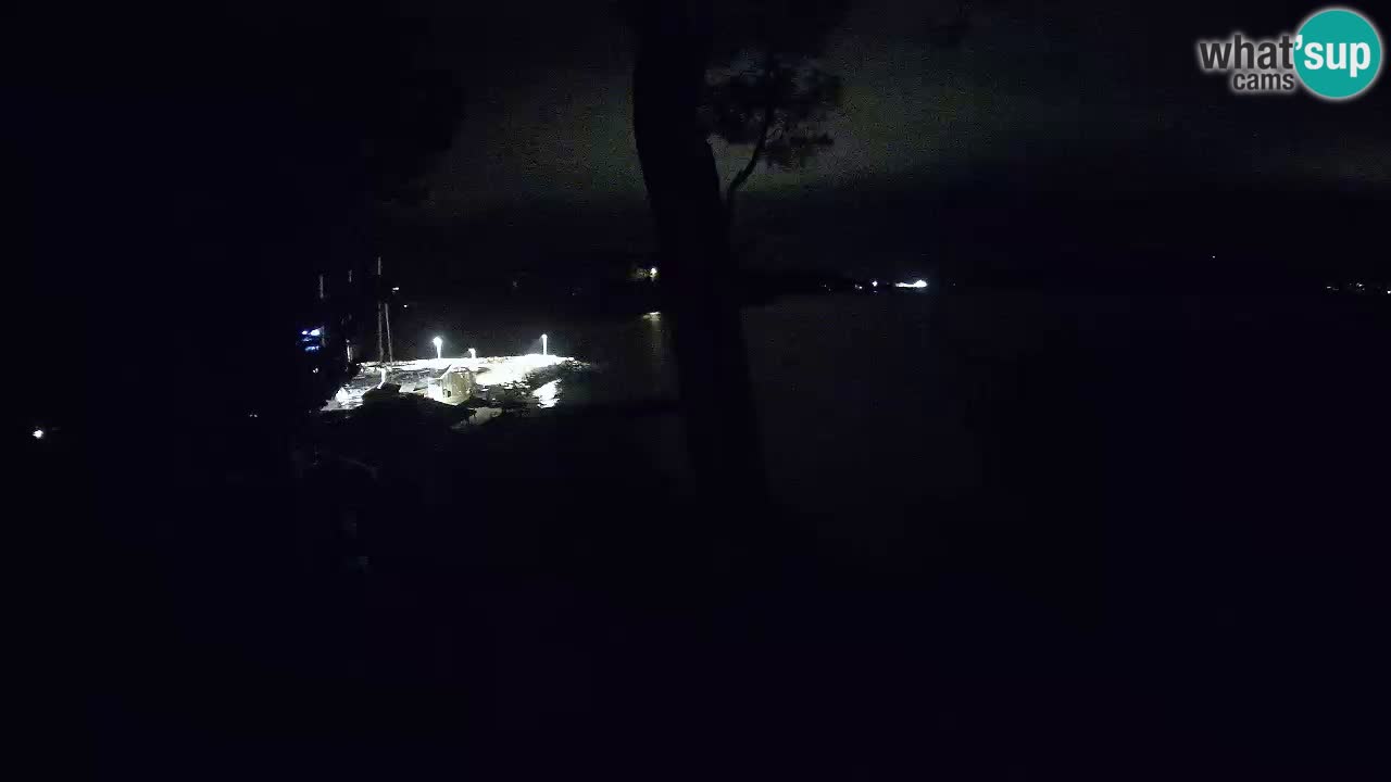 Camera en vivo Lumbarda – Playa Prvi Žal – Korčula