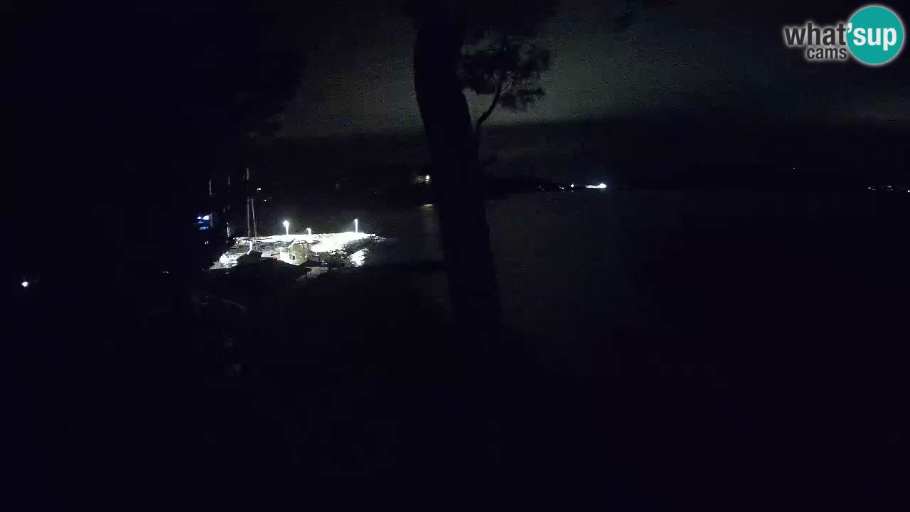 Webcam live Lumbarda – Plage Prvi Žal – Korčula