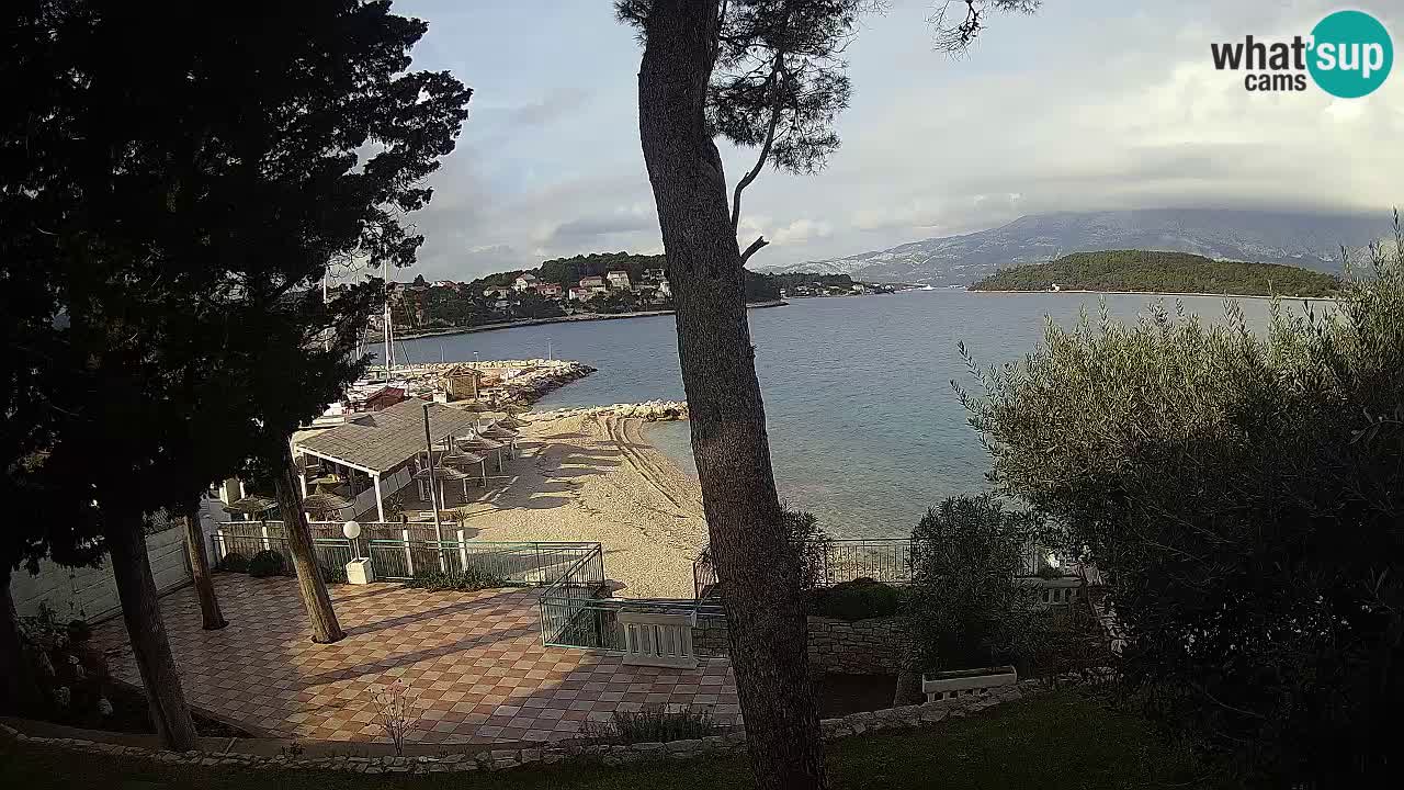 Camera en vivo Lumbarda – Playa Prvi Žal – Korčula