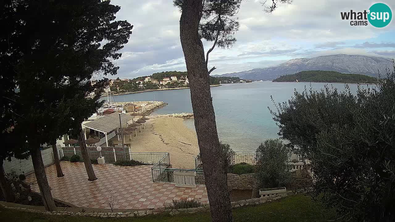 Camera en vivo Lumbarda – Playa Prvi Žal – Korčula