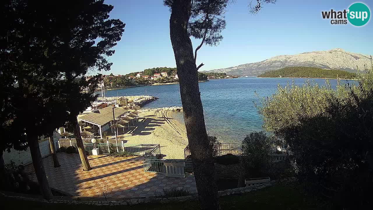 Camera en vivo Lumbarda – Playa Prvi Žal – Korčula