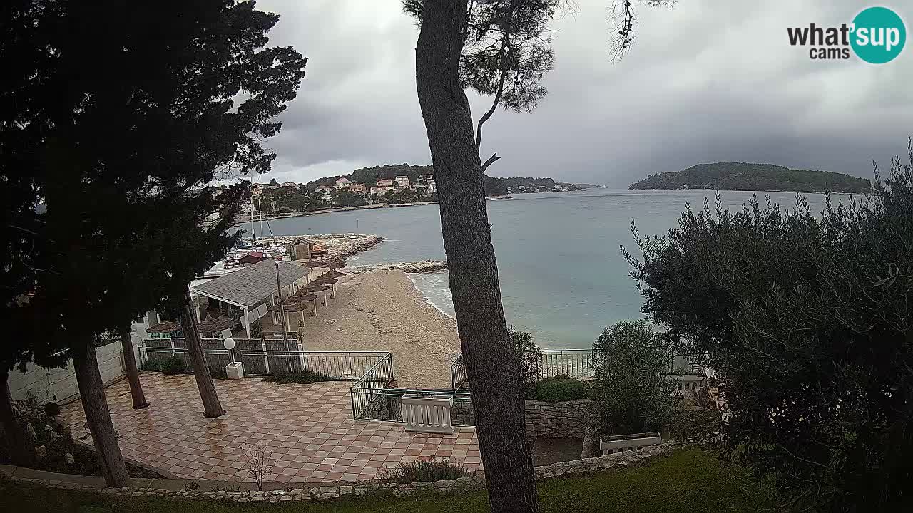 Camera en vivo Lumbarda – Playa Prvi Žal – Korčula
