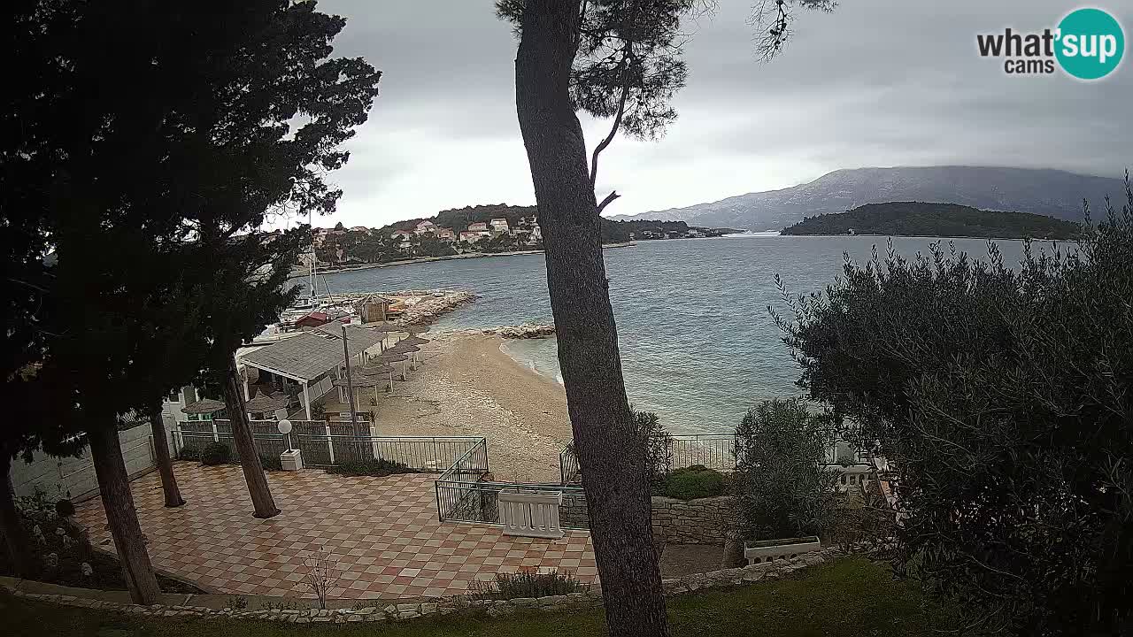 Camera en vivo Lumbarda – Playa Prvi Žal – Korčula