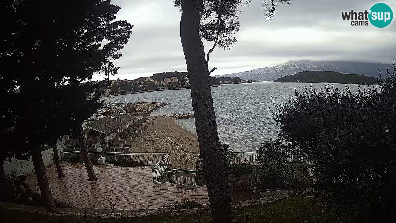 Camera en vivo Lumbarda – Playa Prvi Žal – Korčula