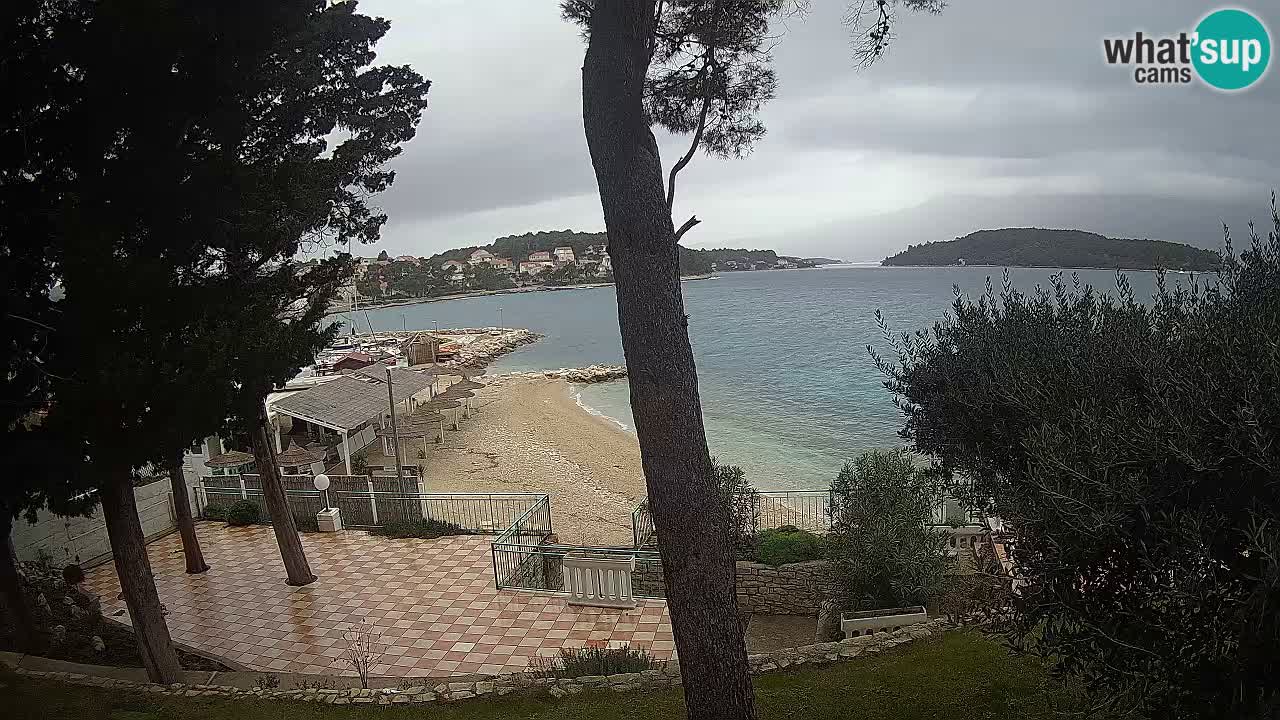 Camera en vivo Lumbarda – Playa Prvi Žal – Korčula