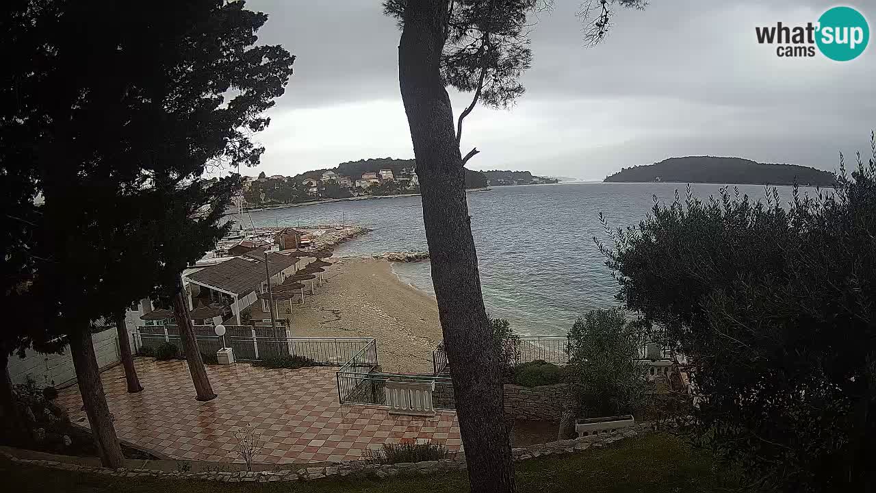 Camera en vivo Lumbarda – Playa Prvi Žal – Korčula