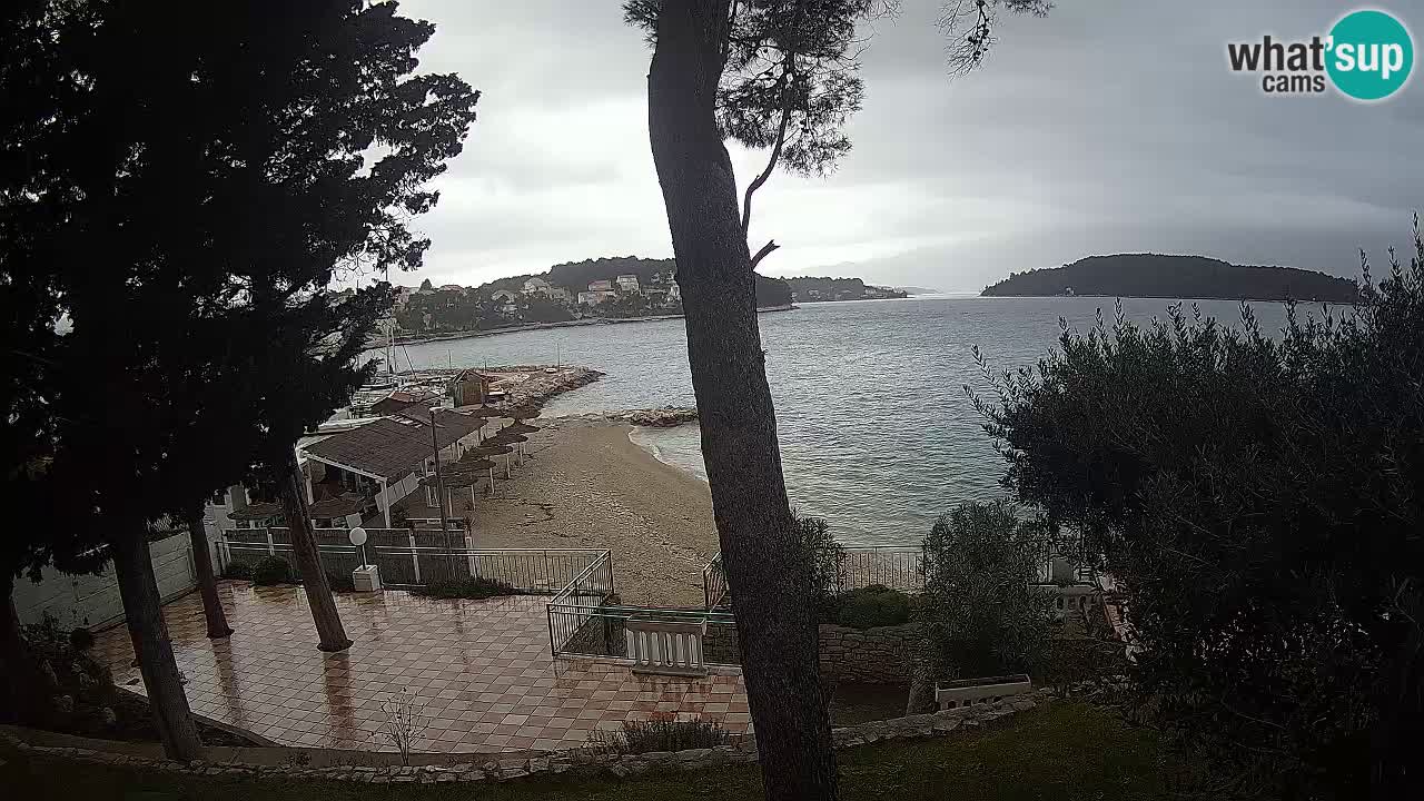 Camera en vivo Lumbarda – Playa Prvi Žal – Korčula